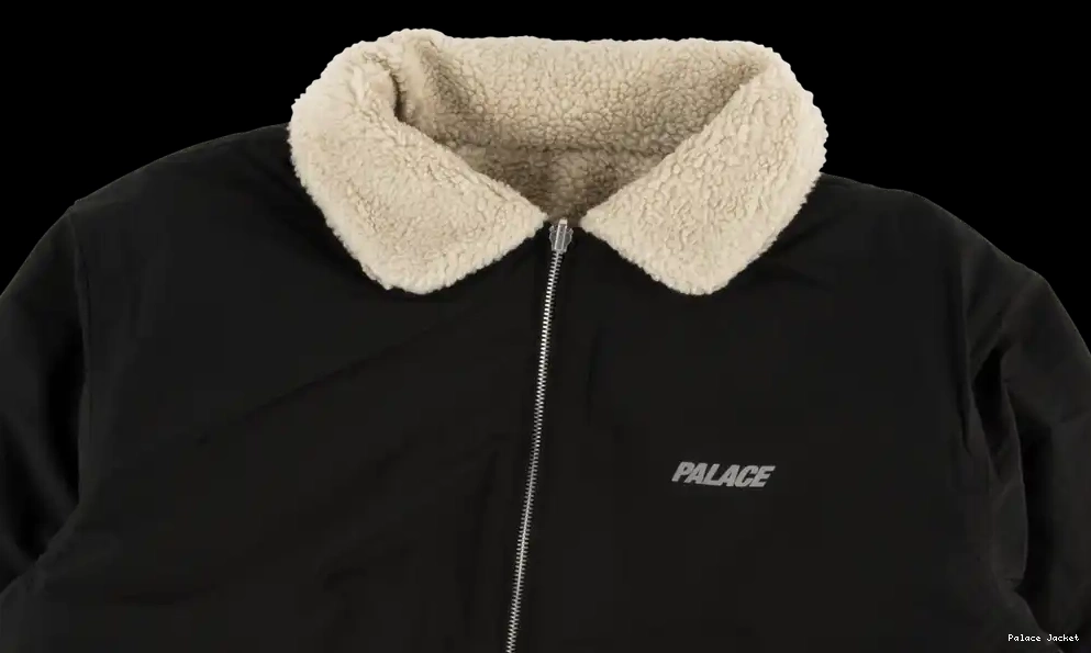 Affordable Palace Reverso Jacket 0602